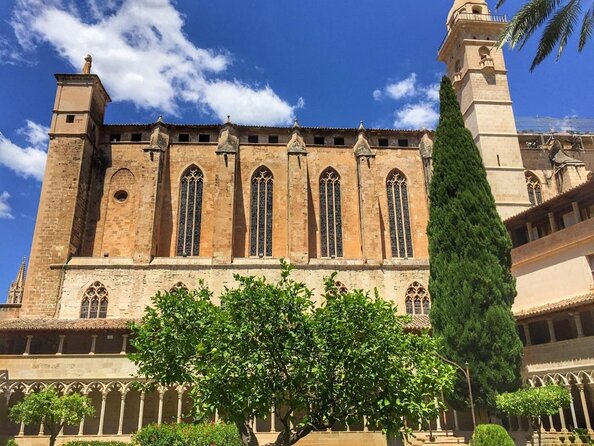 1 Hour Electric Scooter Tour in Palma - Key things that make this e-scooter tour work