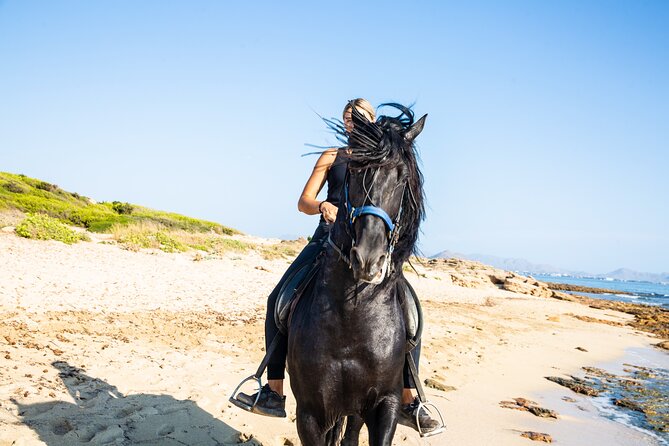 3-Hour Beach Horse Riding to Discover the Beauty of Alcudia Bay - Key things I’d watch for