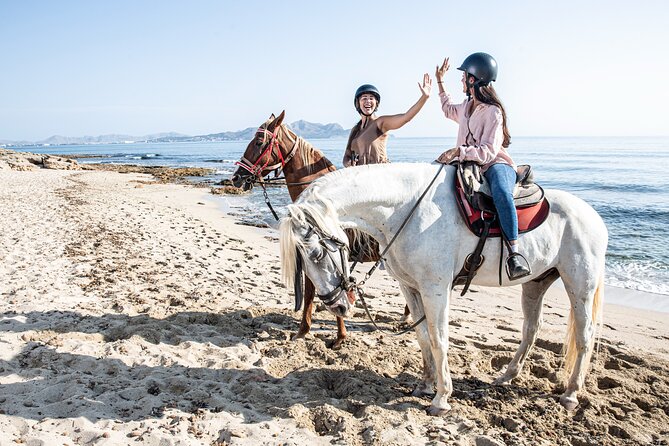 3-Hour Beach Horse Riding to Discover the Beauty of Alcudia Bay - Ride Levels, Pace, and the Gallop Question