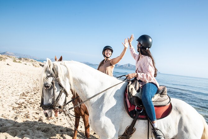 3-Hour Beach Horse Riding to Discover the Beauty of Alcudia Bay - Hot Weather, Stops, and What to Bring