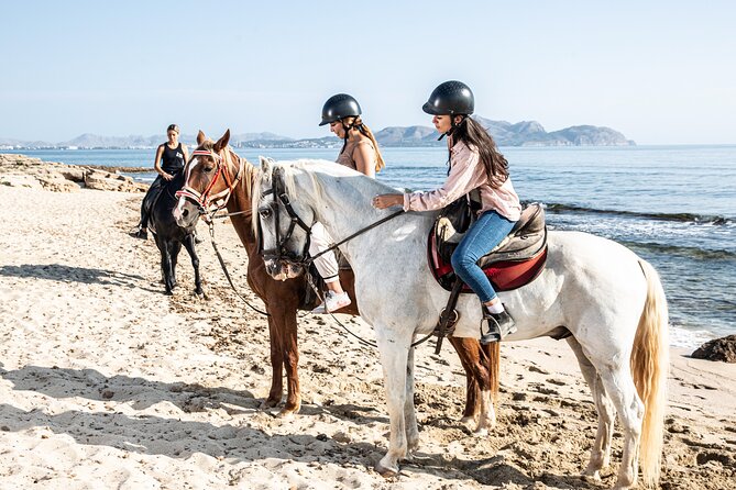 3-Hour Beach Horse Riding to Discover the Beauty of Alcudia Bay - Price and Value: What $90.12 Buys in Real Terms