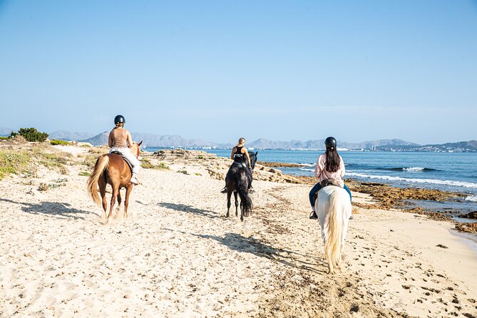 3-Hour Beach Horse Riding to Discover the Beauty of Alcudia Bay - The Best Fit: Who This Ride Is Made For
