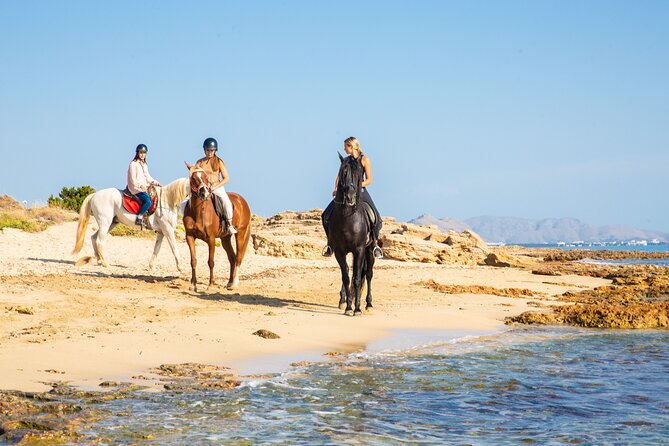 3-Hour Beach Horse Riding to Discover the Beauty of Alcudia Bay - Things That May Not Feel Perfect