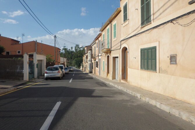 3 hours quad tour from Paguera - Quick Quad Tour from Paguera: a smart way to see the coast and hills
