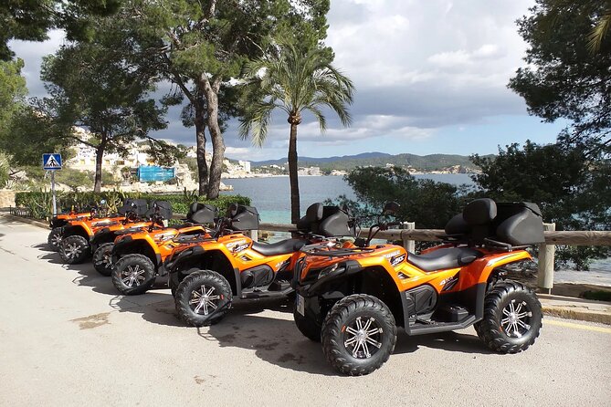 3 hours quad tour from Paguera - How the ride feels: beginner-friendly, guided breaks, and solid organization