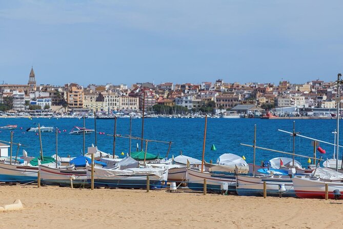 6-Hour Private Tour through the Most Beautiful Coves of Mallorca - Key highlights before you go