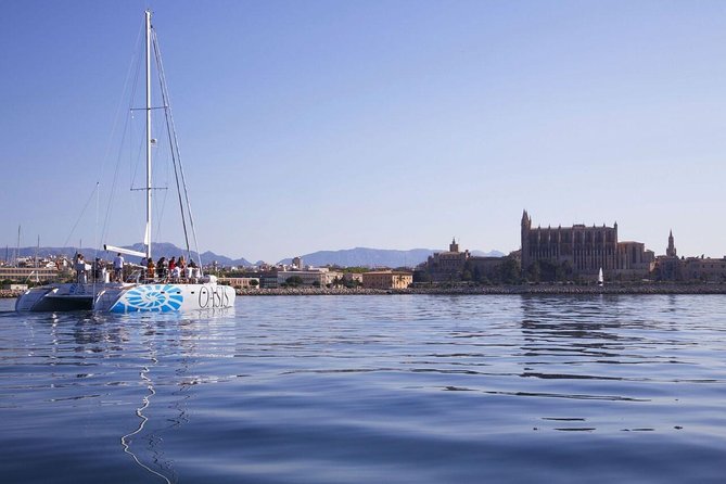 Adult Only Sunset Catamaran Palma bay - Palma’s sunset route: what you’re seeing while you cruise