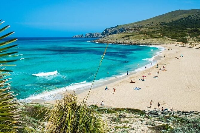 Afternoon Snorkel & Paddle Surf Experience in a Secret Spot - Key highlights at a glance