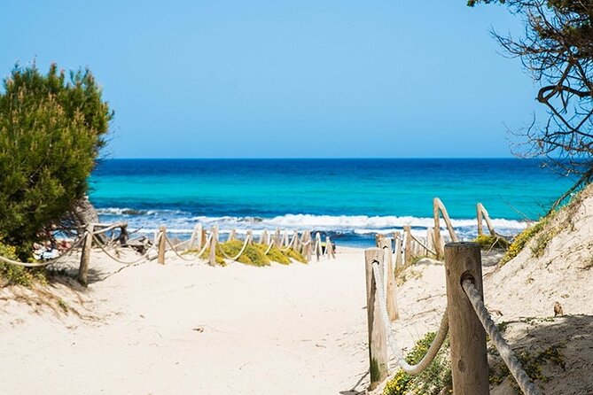 Afternoon Snorkel & Paddle Surf Experience in a Secret Spot - Price and value: is $116.80 worth it?