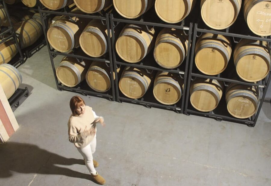 Alcúdia/Can Picafort: Guided Vineyard Visit and Wine Tasting - Inside the cellar: traditional methods meet modern winemaking