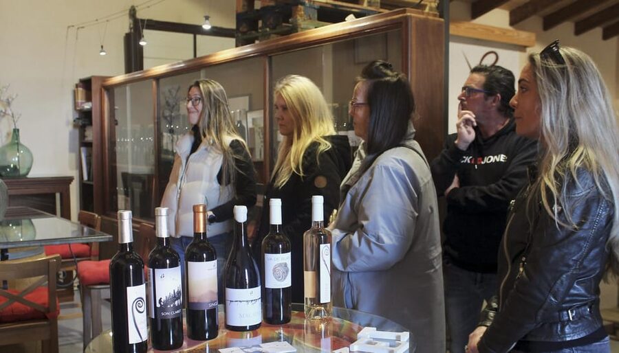 Alcúdia/Can Picafort: Guided Vineyard Visit and Wine Tasting - The tasting flight: five wines plus local nibbles
