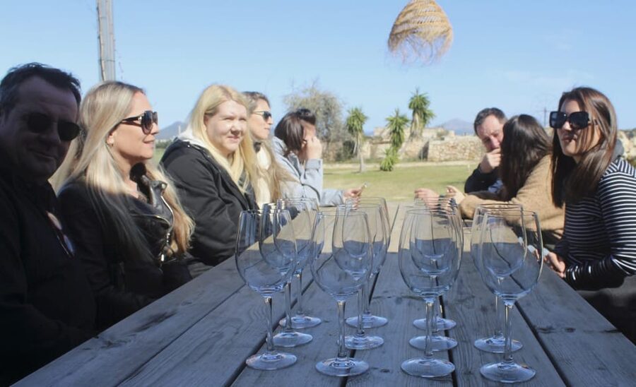 Alcúdia/Can Picafort: Guided Vineyard Visit and Wine Tasting - Price and value: is $58 a fair deal?