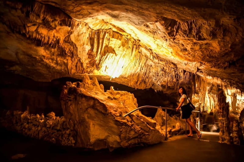 Alcudia: Caves of Drach Tour from the North with Boat Trip - Alcúdia Pickup, Coach Timing, and How to Find the Right Bus