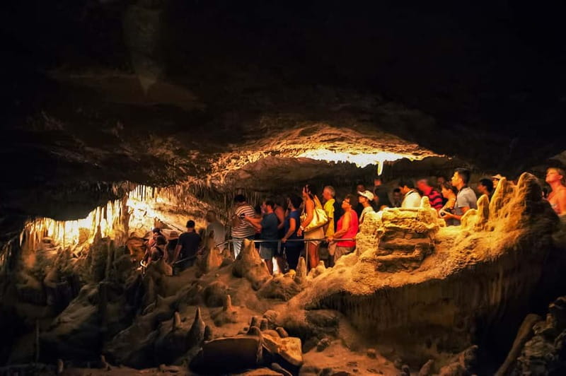 Alcudia: Caves of Drach Tour from the North with Boat Trip - Porto Cristo Break (How Much Time You’ll Actually Have)