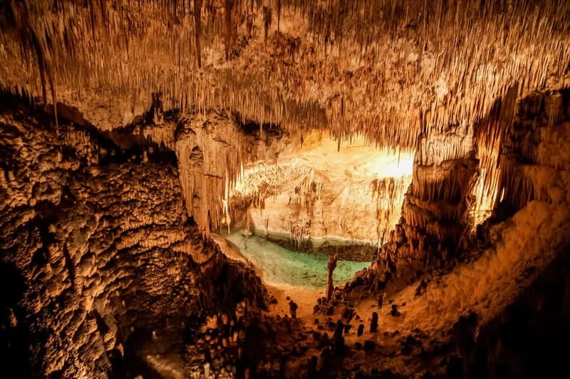 Alcudia: Caves of Drach Tour from the North with Boat Trip - Who This Tour Fits Best