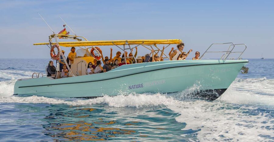 Alcudia: Coll Baix Beach & Sea Caves Cruise with Snorkeling - Key highlights you’ll actually care about