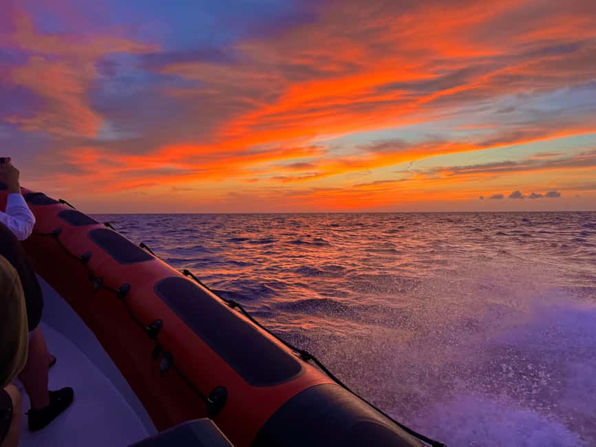 Alcudia: Dolphin Watching at Sunrise with Speedboat - Photos and Videos Included: A Small Detail That Saves Your Trip