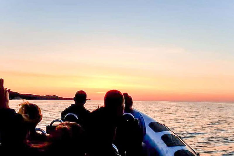 Alcudia: Formentor Beach, Lighthouse Cruise, and Small Group - Price and value: is $94 per person a fair deal here?
