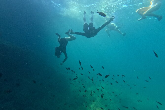 Alcudia: Guided Sea Kayaking & snorkelling Tour (day & sunset) - Start point on foot: what to expect at Camí Vell de la Victòria