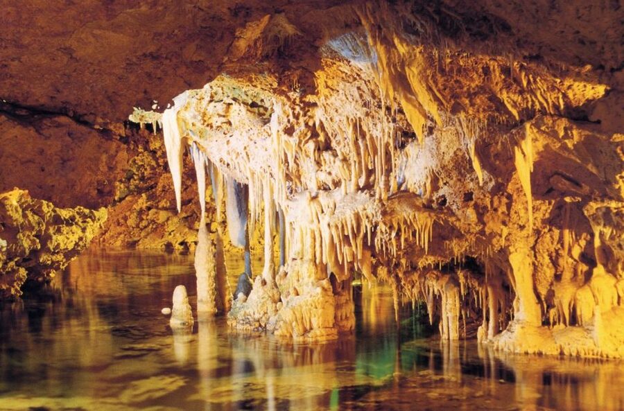 Alcudia: Half-day Caves of Hams, Blue Caves and documentary - Free Time at Porto Cristo: Botanical Garden and Picnic Breaks
