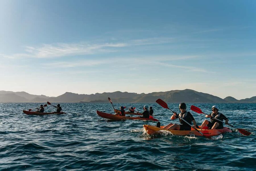 Alcudia: Kayak Tour with Snorkel & Sea Cave Swim - Price and value: is $64 fair for a 2-hour sea-cave kayak?