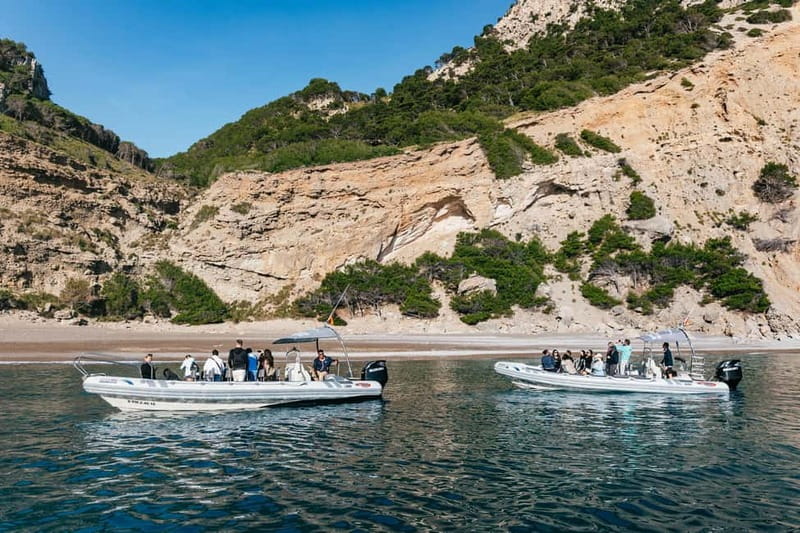 Alcudia or Can Picafort: Dolphin-Watching Cruise - Guides and captains: the human factor that changes everything