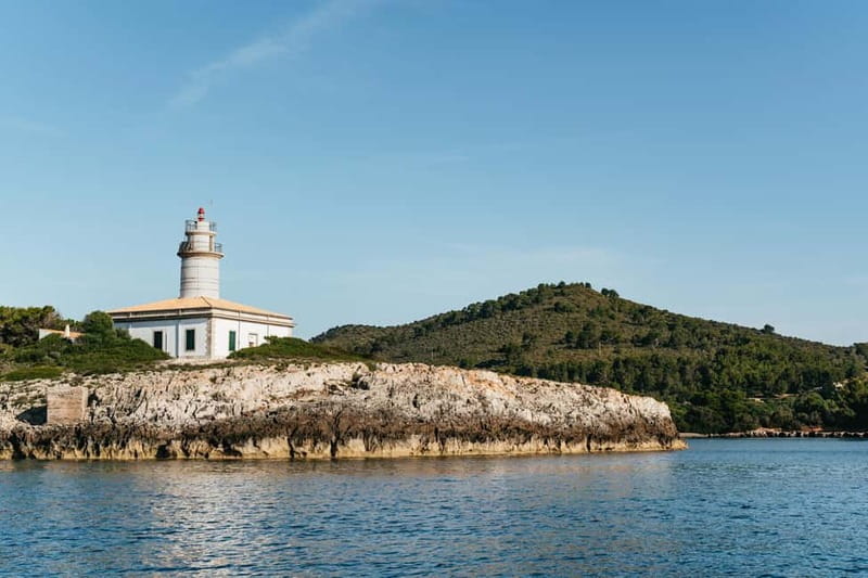Alcudia or Can Picafort: Dolphin-Watching Cruise - The dolphin hunt: how you get close and still respect the wild