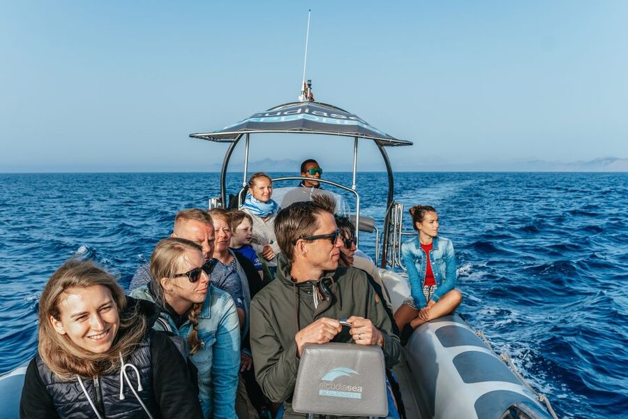 Alcudia or Can Picafort: Dolphin-Watching Cruise - Sea caves: what you see from the water