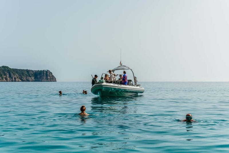 Alcudia or Can Picafort: Dolphin-Watching Cruise - Es Coll Baix swim stop: the best reward after the choppy bit