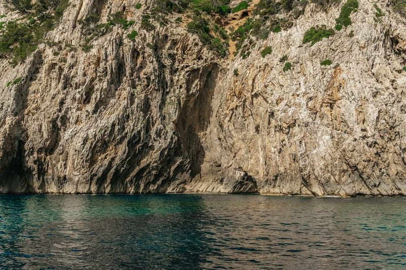 Alcudia or Can Picafort: Dolphin-Watching Cruise - The boat ride reality check: wind, cold, and motion