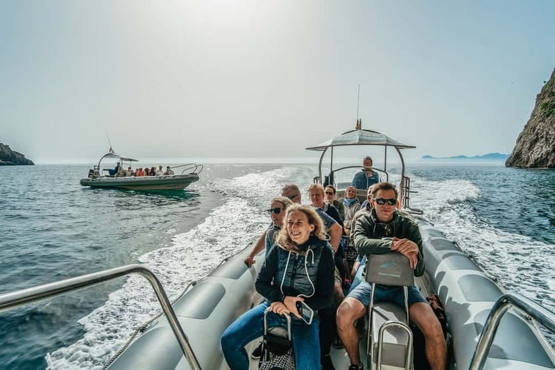 Alcudia or Can Picafort: Dolphin-Watching Cruise - Included vs not: what $100 actually covers