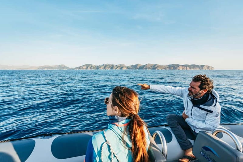 Alcudia or Can Picafort: Dolphin-Watching Cruise - Cabo Formentor: the UNESCO cliffs you can actually feel