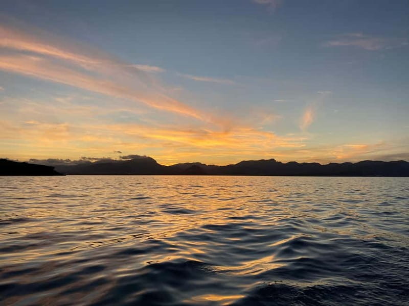 Alcudia, Private Tour: Scenic 2.5-Hour Boat Tour - Who This Private Boat Tour Suits (and Who It Doesn’t)