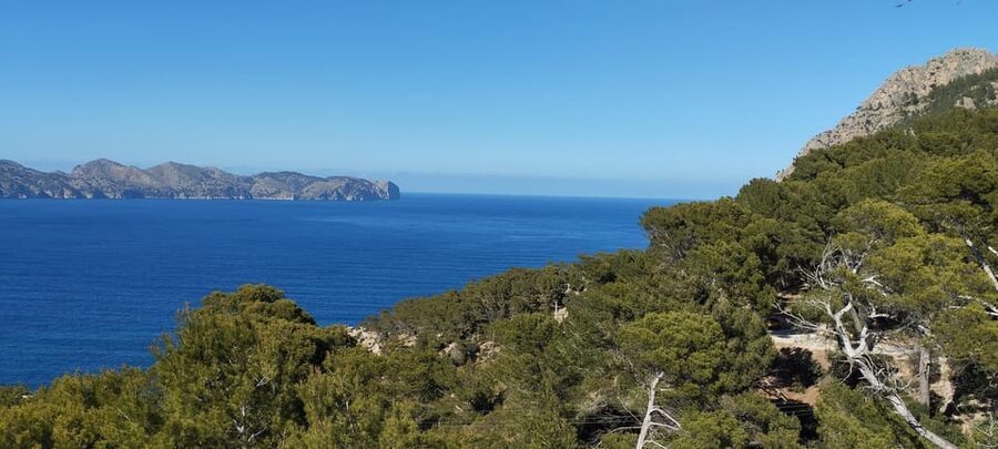 Alcudia: Quad Sightseeing Tour with Viewpoints - Private vs group, and single vs double quads