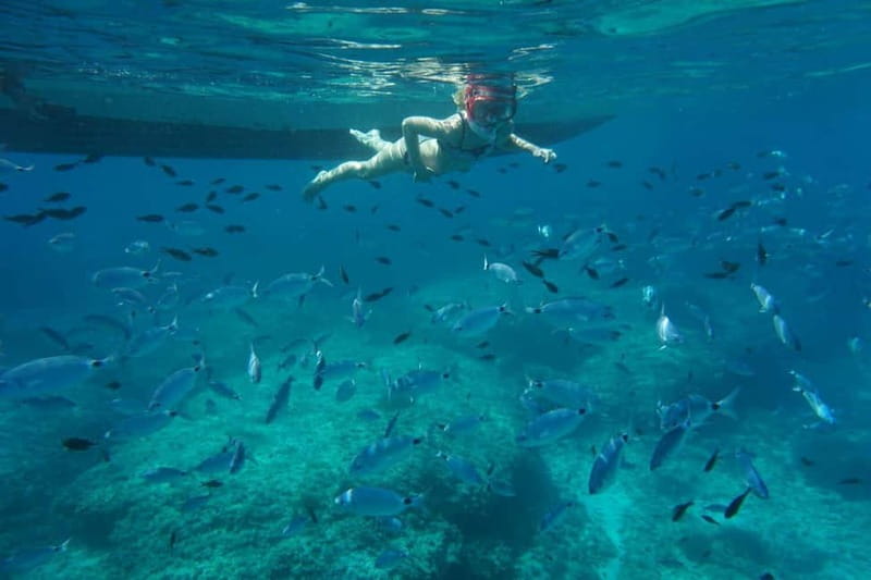 Alcudia: Sea Caves Coves and Snorkeling in small groups - From Alcudia port to open sea: how the Llevant Nature Park cruise really works
