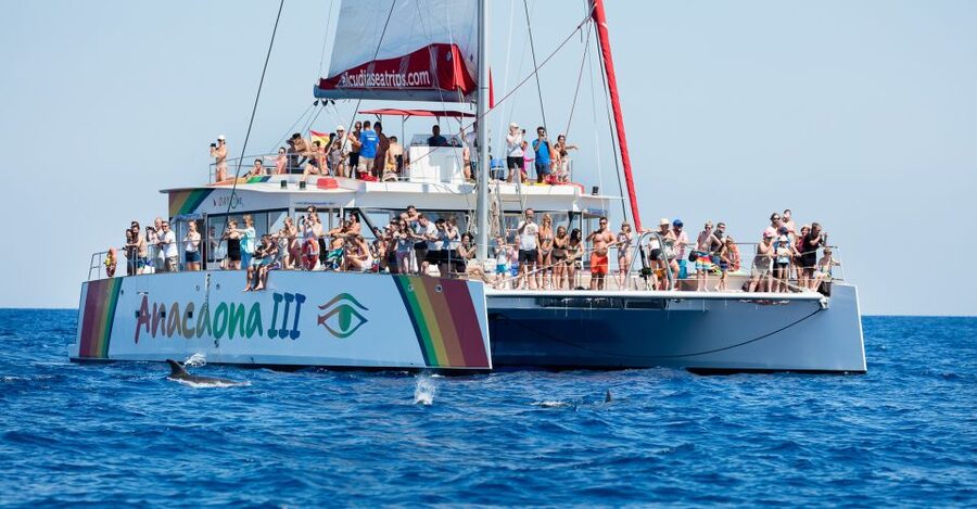 Alcudia: Sunset Catamaran Tour with Dinner and Snorkeling - Key Highlights You’ll Actually Use