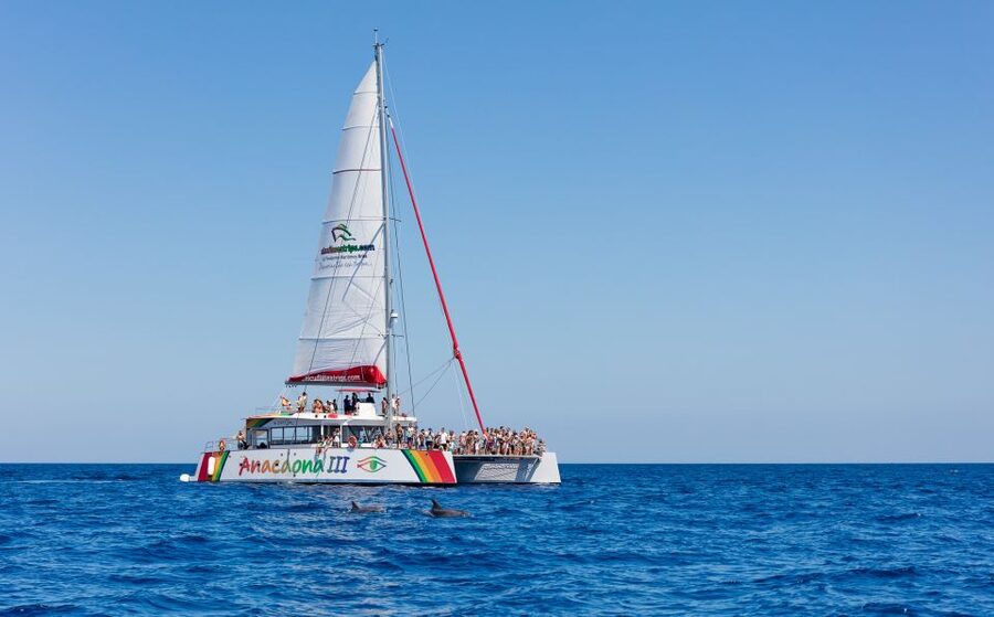Alcudia: Sunset Catamaran Tour with Dinner and Snorkeling - The Evening Sail: A Calm North Mallorca Crossing