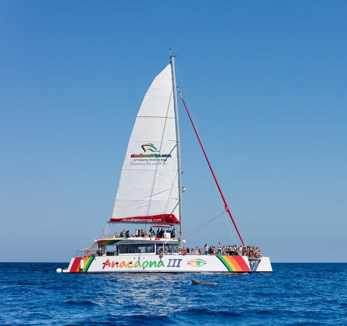Alcudia: Sunset Catamaran Tour with Dinner and Snorkeling - Snorkeling: How to Get the Most from the Secluded Stops