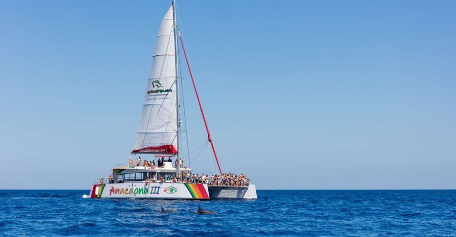 Alcudia: Sunset Catamaran Tour with Dinner and Snorkeling - Getting On Board: Meet at Cruceros Brisa, Bring the Right Stuff