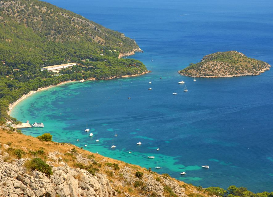 Alcudia: Trip to Formentor Beach - Who This Trip Fits Best