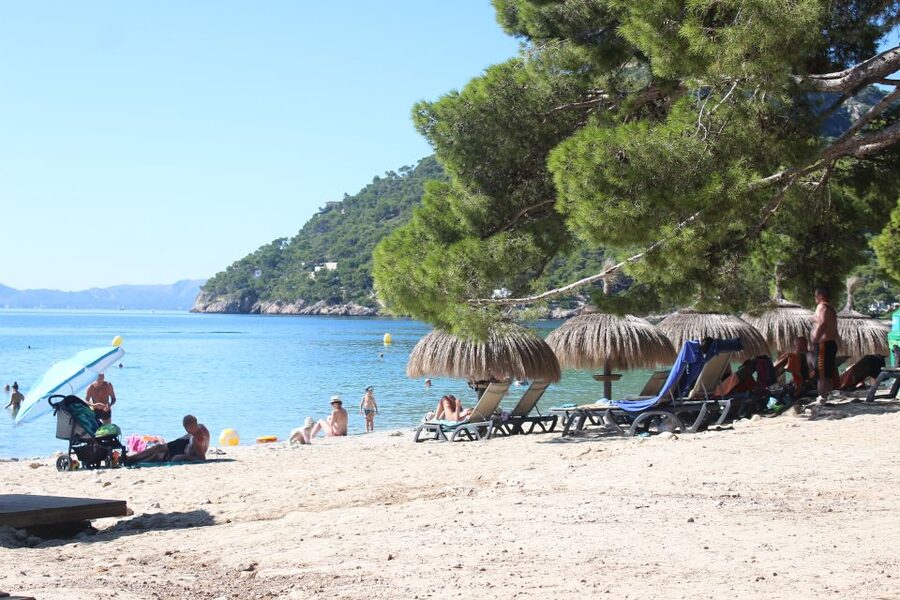 Alcudia: Trip to Formentor Beach - Price and Value: Is $46 Worth Four Hours?