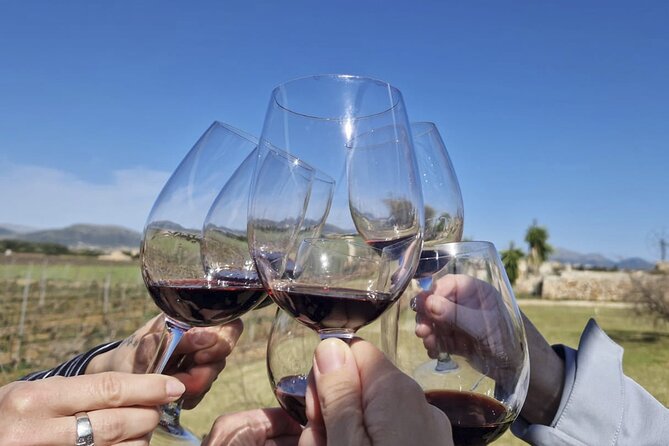 Alcudia Winecellar Tour with Vineyard Visit, Tasting of 5 Wines - Vineyard Views and the Seaward Terroir Angle