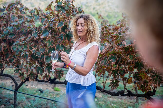 Alcudia Winecellar Tour with Vineyard Visit, Tasting of 5 Wines - Tasting 5 On-Site Wines With Local Snacks
