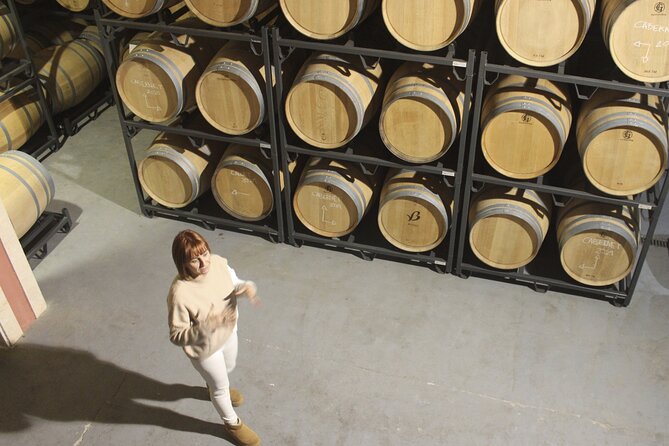 Alcudia Winecellar Tour with Vineyard Visit, Tasting of 5 Wines - What the Winery Shop Discount Means for Your Bottle Budget