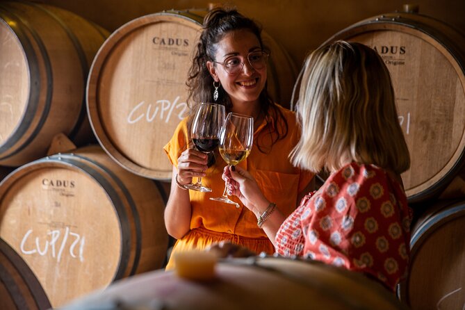 Alcudia Winecellar Tour with Vineyard Visit, Tasting of 5 Wines - Group Size, Duration, and the Practical Pace