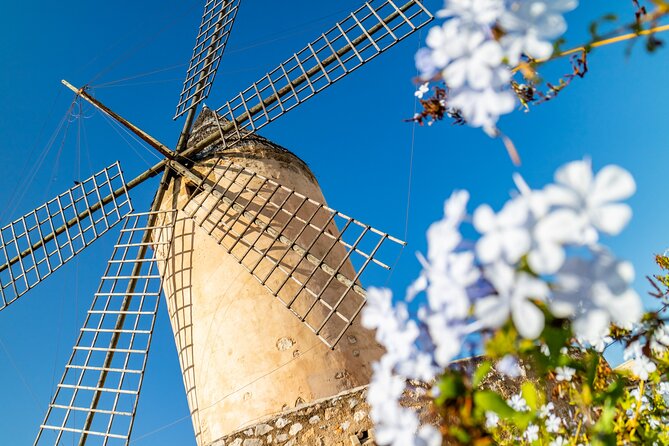 Best Palma de Mallorca and ValLdemossa Tour from Cruise Port - From the cruise terminal to Valldemossa: easy start, real momentum