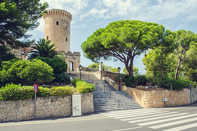 Best Palma de Mallorca and ValLdemossa Tour from Cruise Port - How the 5–6 hour pace actually feels on a cruise day