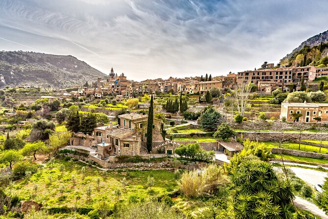 Best Palma de Mallorca and ValLdemossa Tour from Cruise Port - Price and value: why $82.68 can make sense here