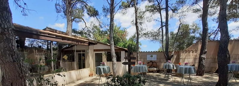 Binissalem: Individual vineyard tour and wine tasting in German - Key highlights I’d plan around