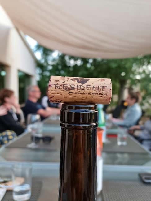 Binissalem: Individual vineyard tour and wine tasting in German - The 2-hour rhythm that keeps it friendly (and why that’s a good thing)